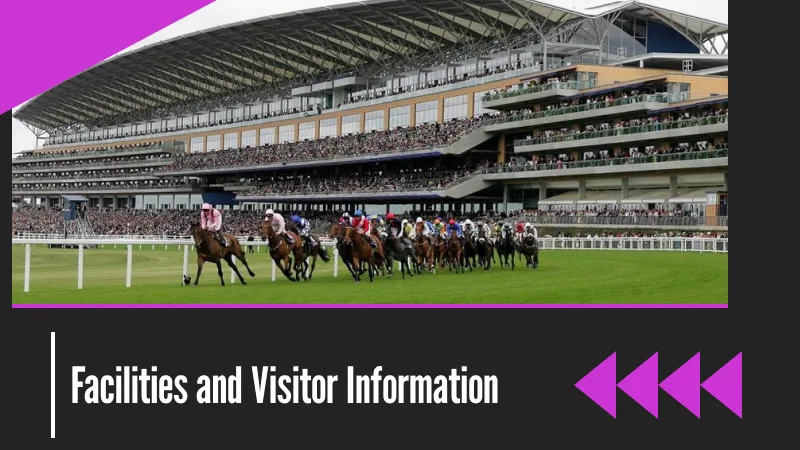 Facilities and Visitor Information at Ascot Racecourse